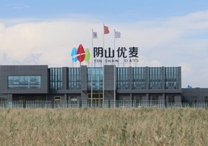 權(quán)威！陰山優(yōu)麥被認(rèn)證為“中國(guó)有機(jī)燕麥第 一品牌”